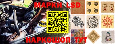 крисы Славгород
