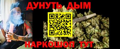 крисы Славгород