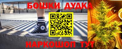 крисы Славгород