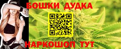 крисы Славгород