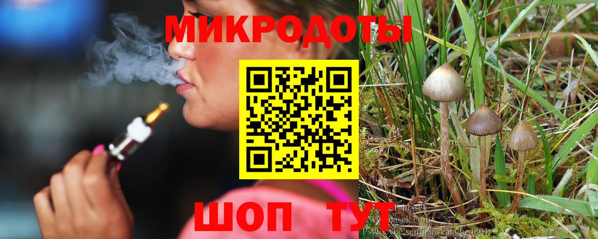 купить   Вход с VPN  Петрозаводск  Галлюциногенные грибы Psilocybe 