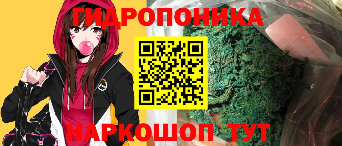 Петрозаводск  Шишки марихуана OG Kush  Бошки Шишки SATIVA & INDICA  Вход с VPN  Шишки марихуана SATIVA & INDICA 